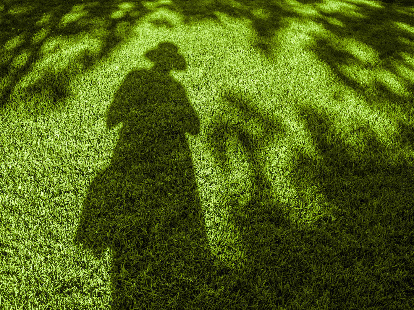 Теневая не экономика