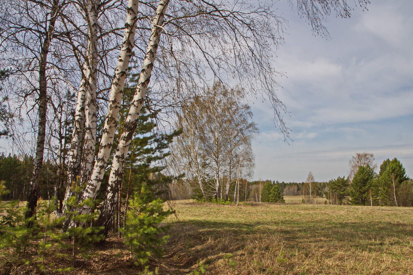 МАЙСКИЙ ДЕНЬ.