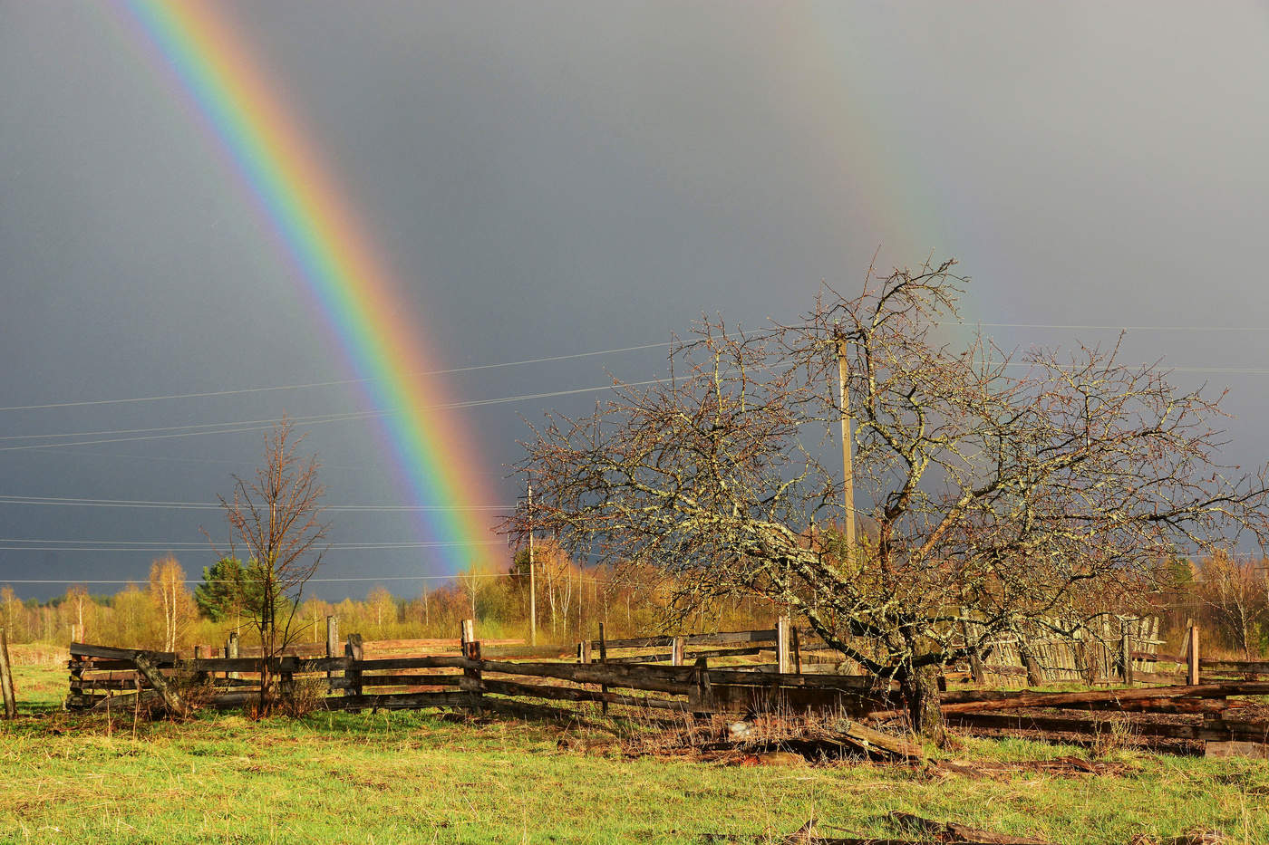 Майский дождь прошел ...