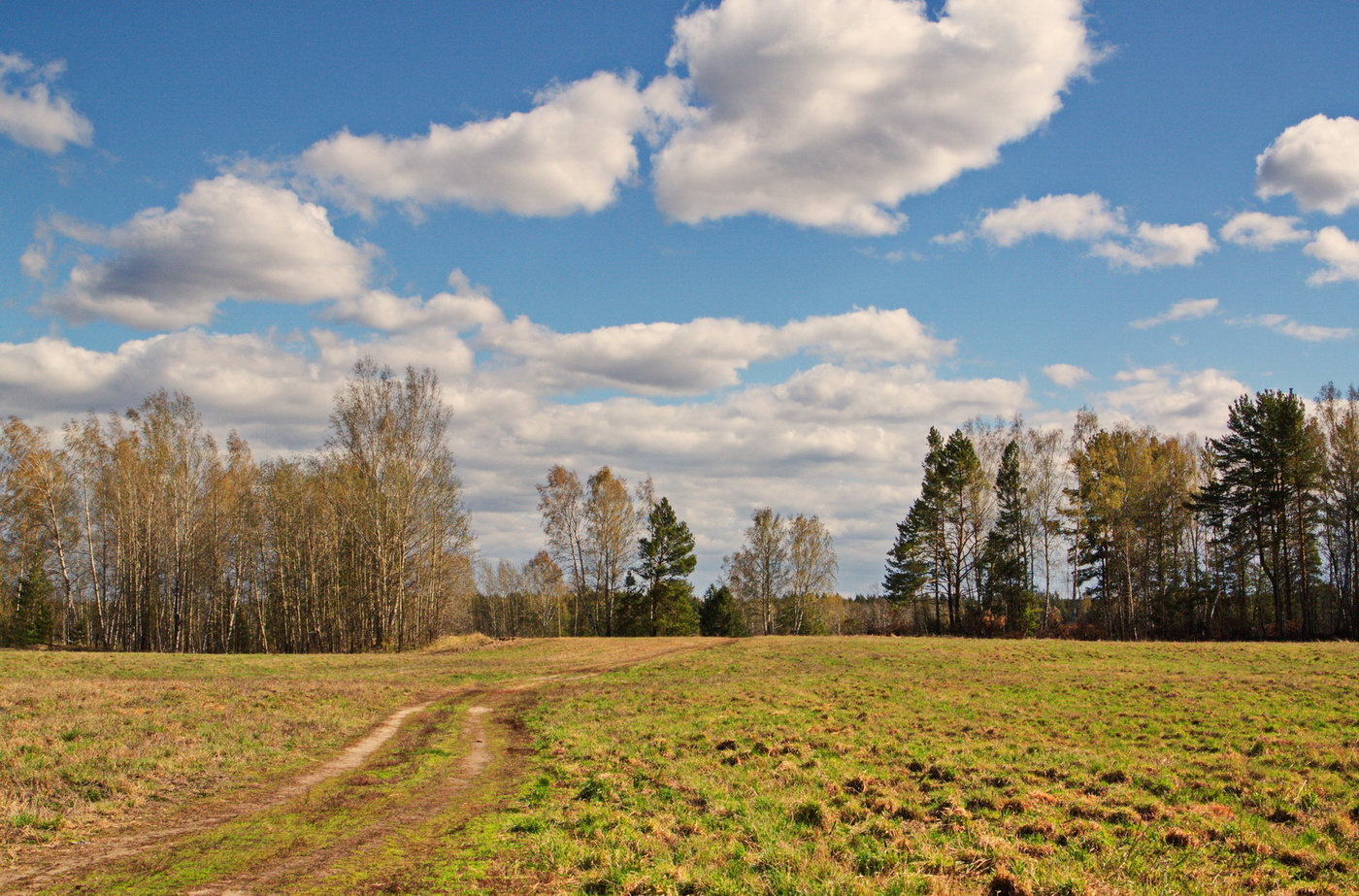 *СОЛНЕЧНЫЙ МАЙ**