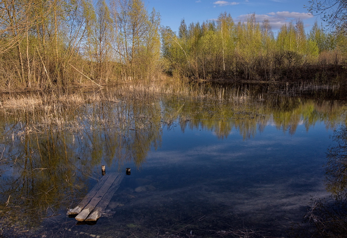 Холодная весна. Пущино.