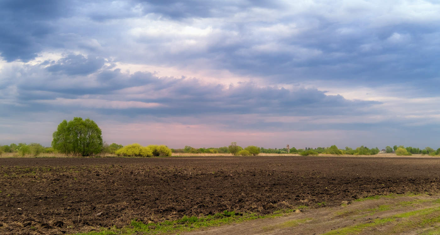 Весенние поля