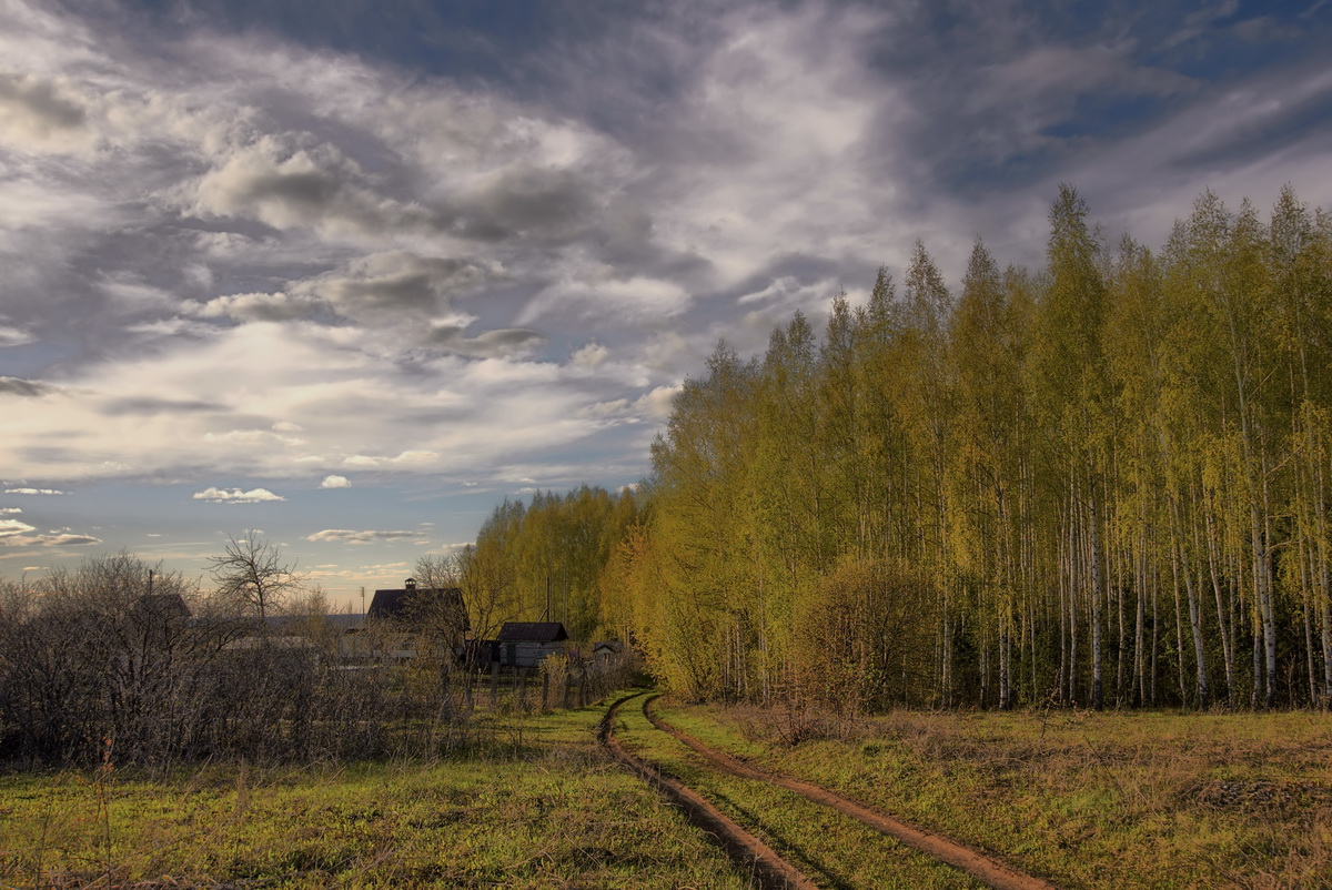 Весенняя проселочная