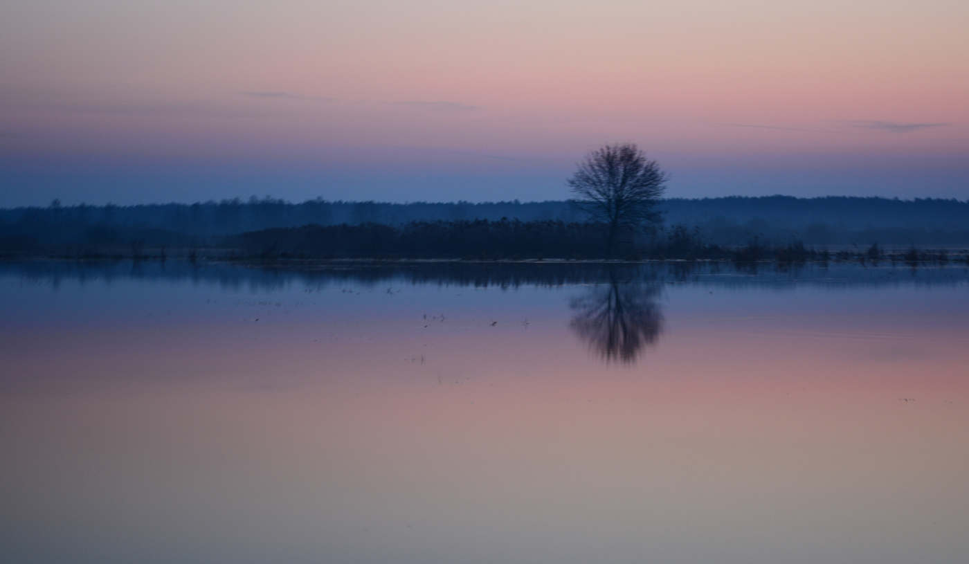 Элементарная частица