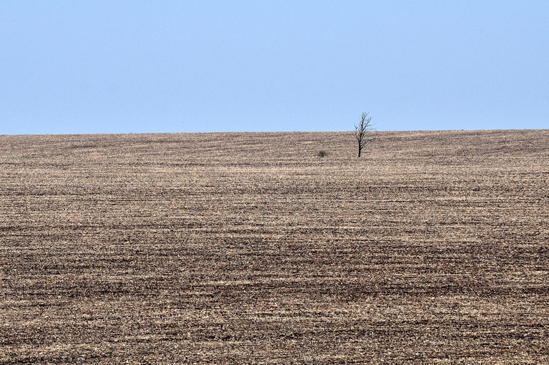 Элементарная частица