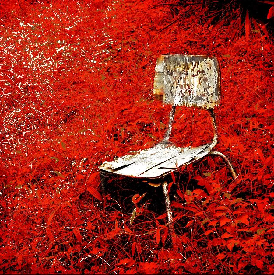 Элементарная частица