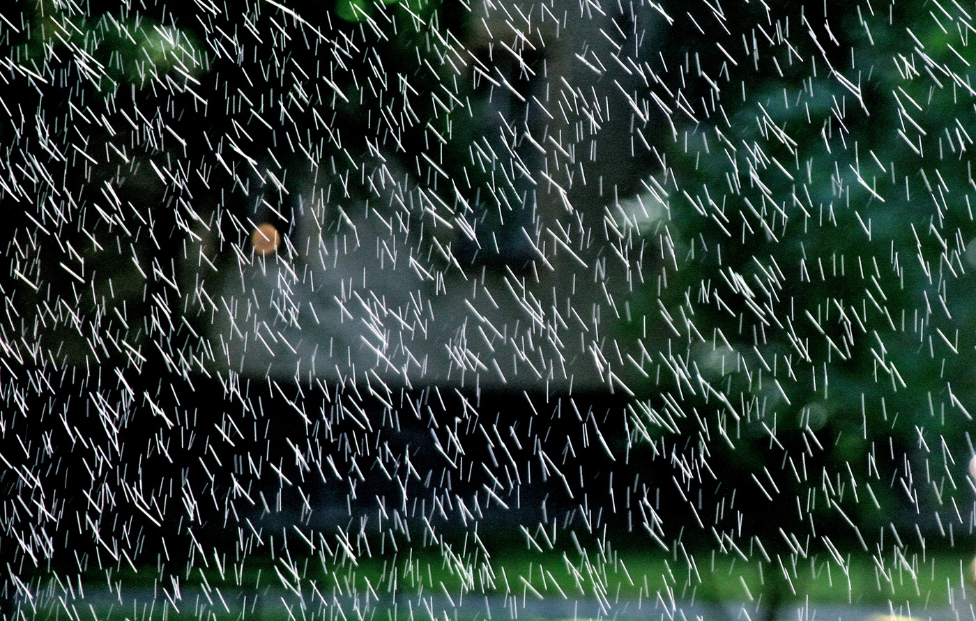 А что на фото?