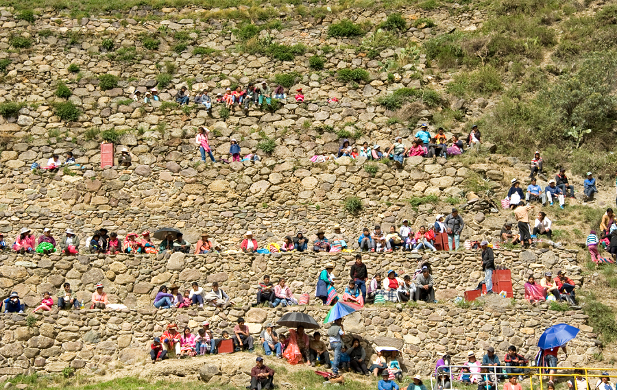 Элементарная частица