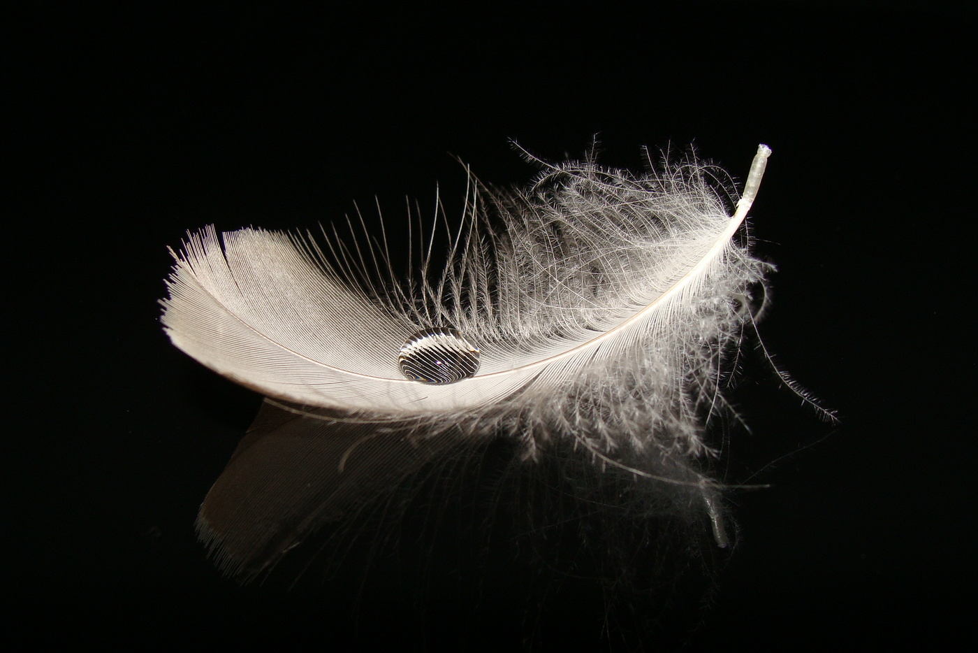 Элементарная частица