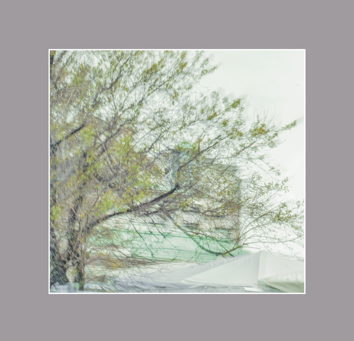 Элементарная частица