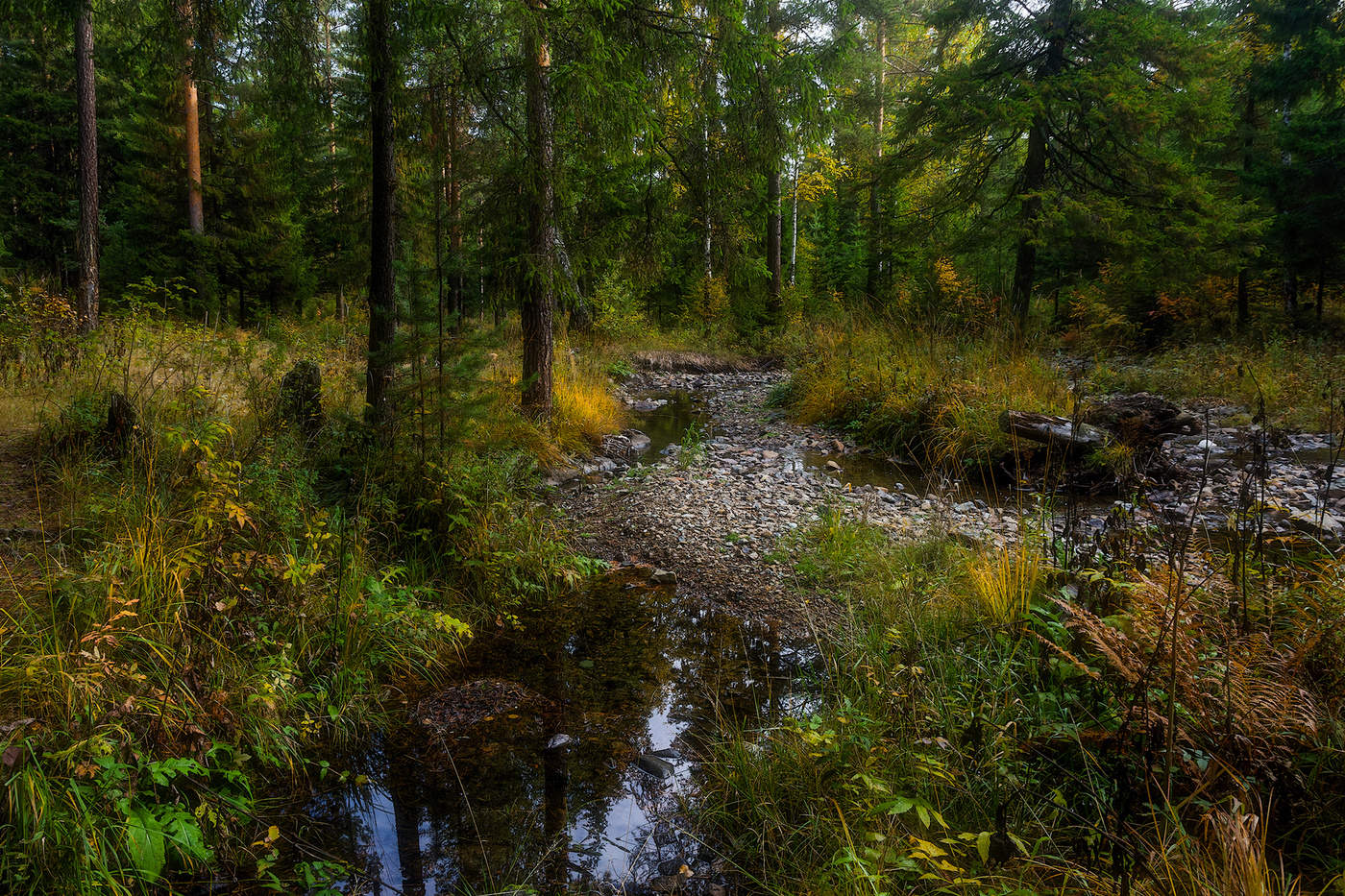 Лесной уголок