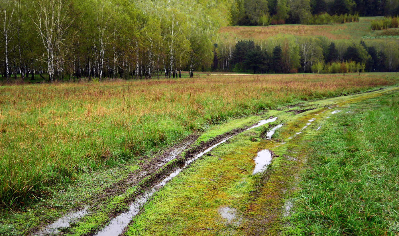 Майская дорога
