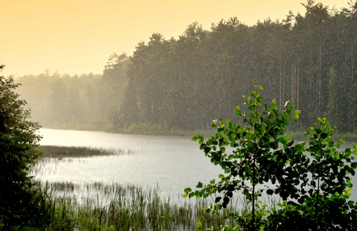 К вечеру задождило и затуманило