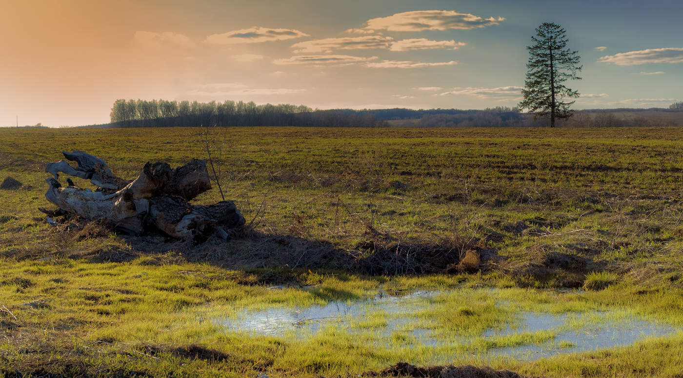 Клонилось​ солнце к закату