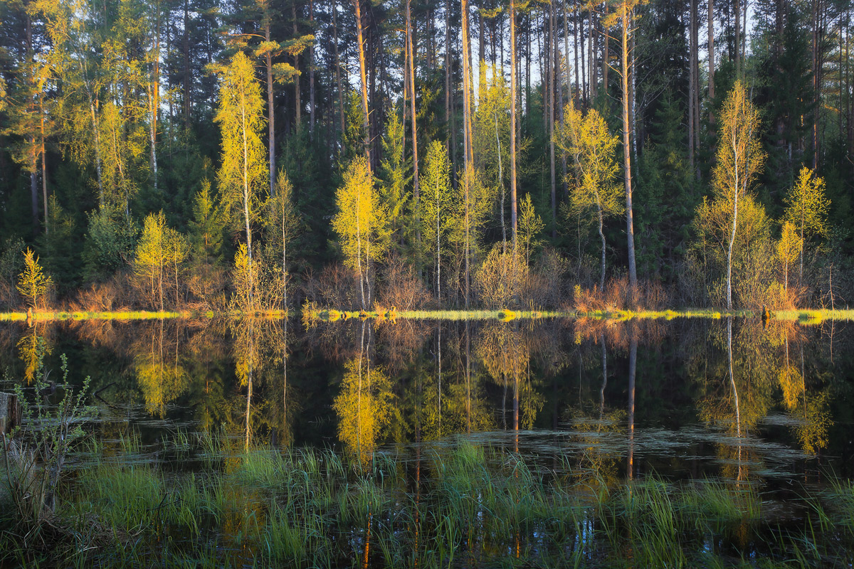 Весенний калейдоскоп