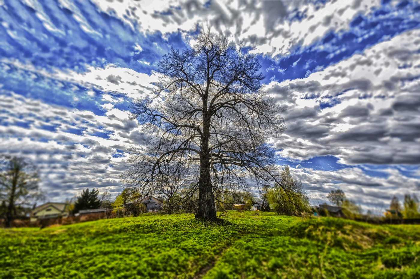 холодный май 2017