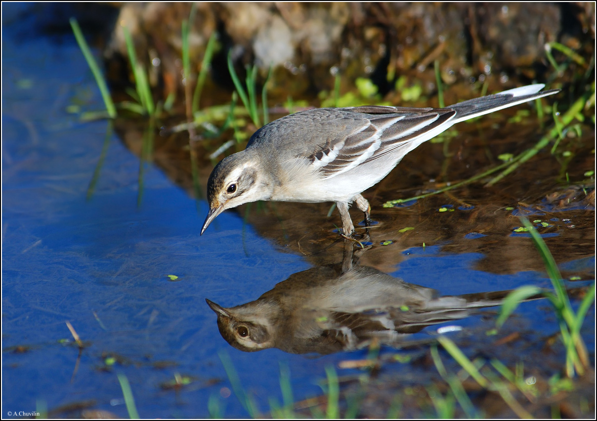 Подводная охота )