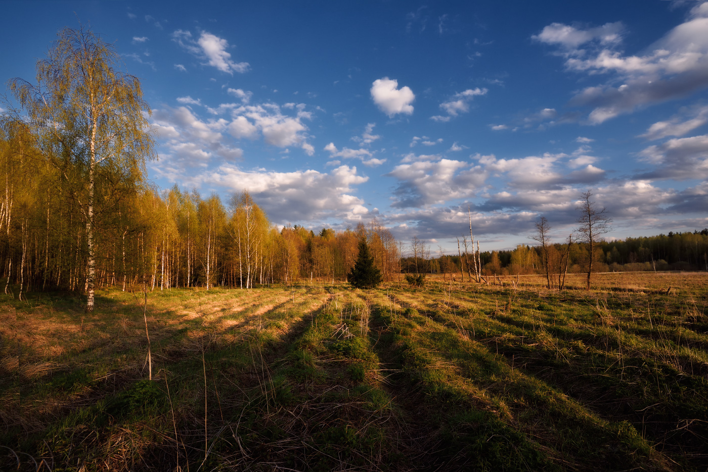 майский вечер