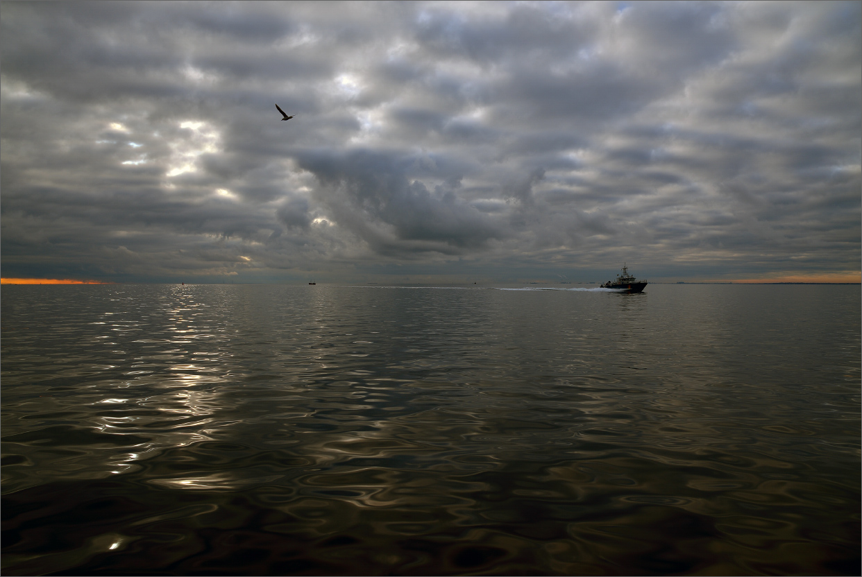 Хмурое утро