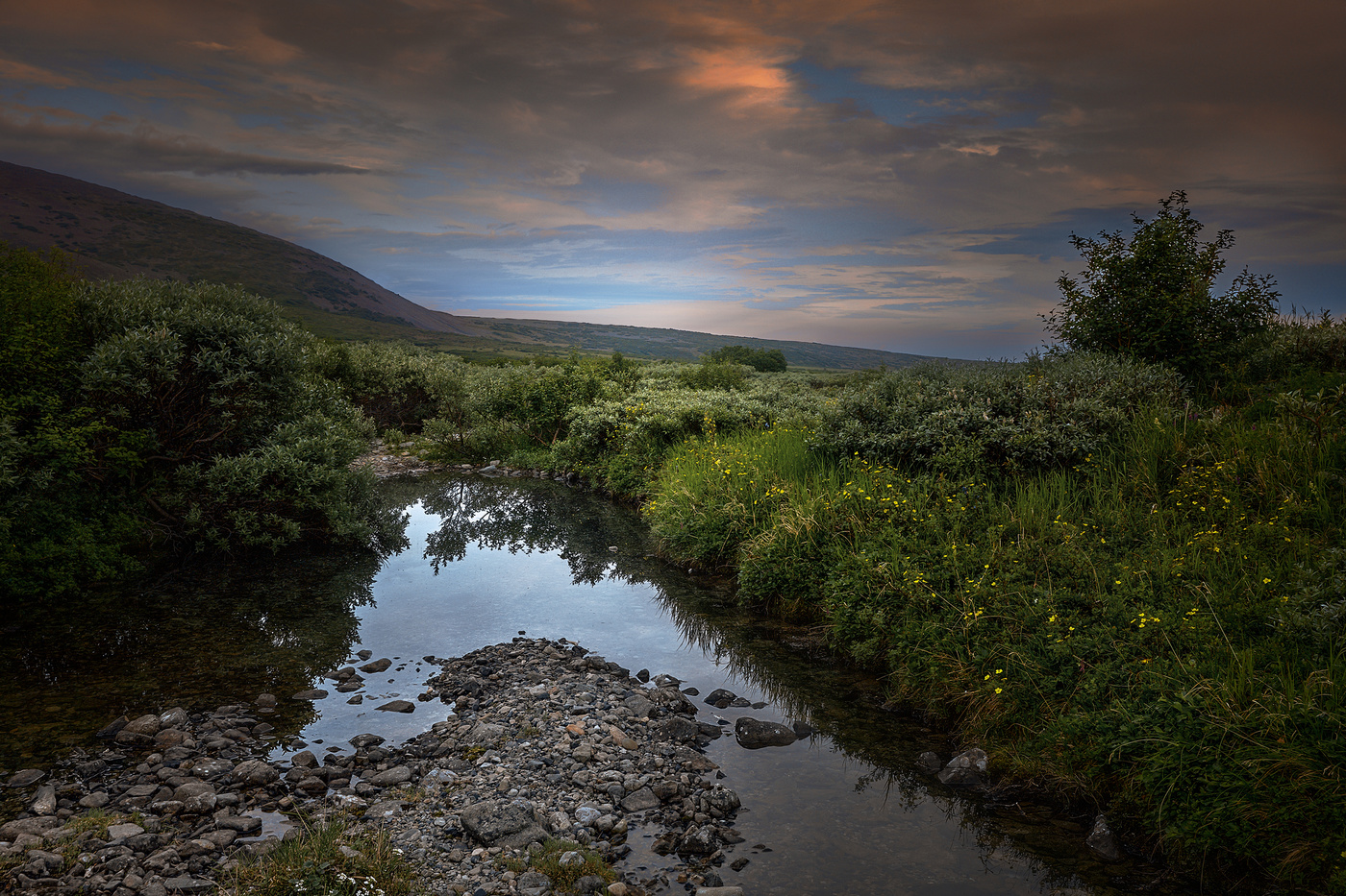 Оазис тишины