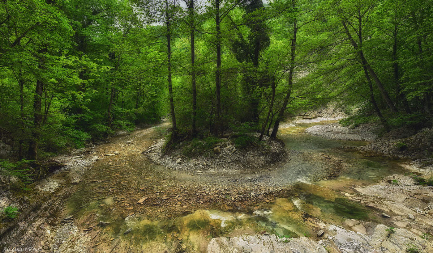 На лесной излучине...