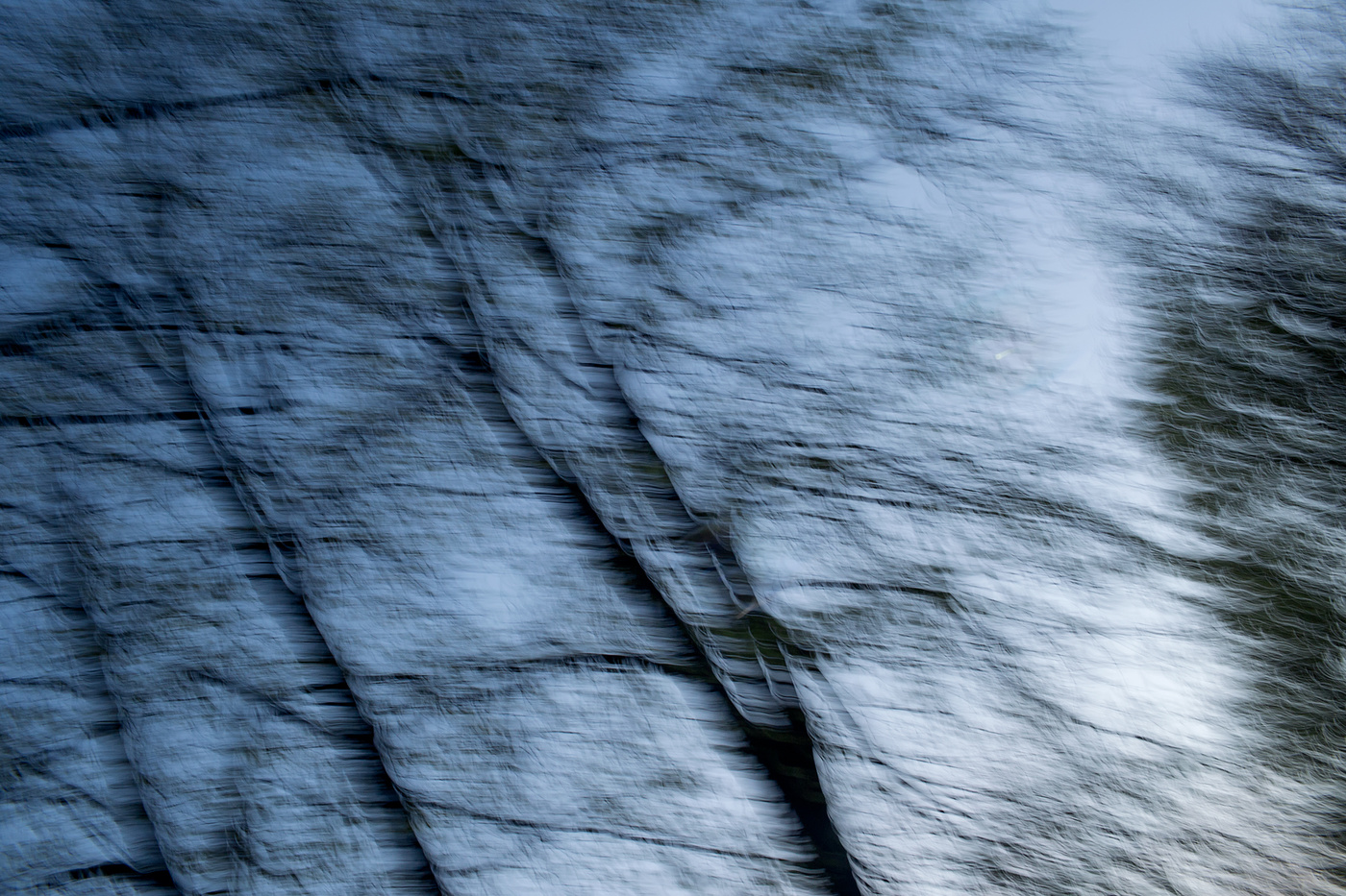 Сон Гедимина