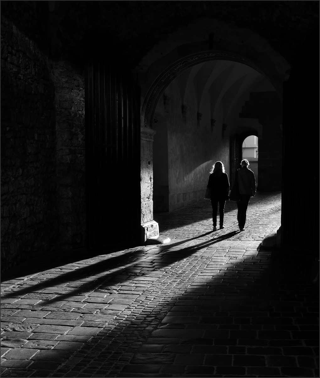 Длинные вечерние тени