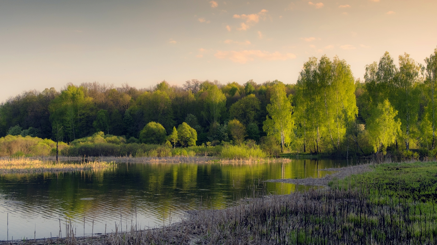 Тёплым майским вечером