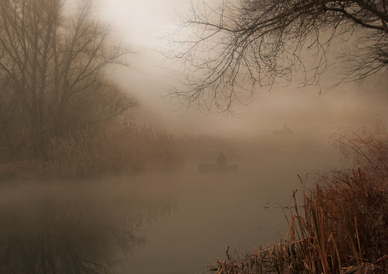 В родной стихии