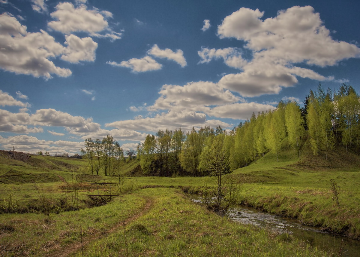 Весенние краски Кукшумки