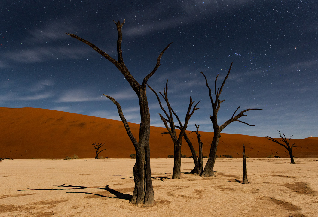 Ночь в Дедвлее