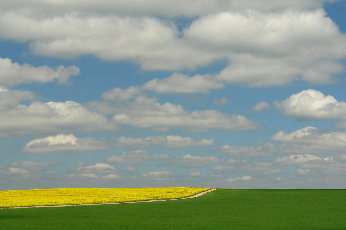 Весне - дорогу.