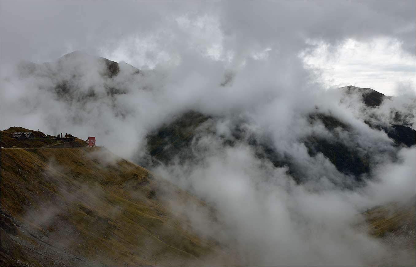 Мохнатый туман