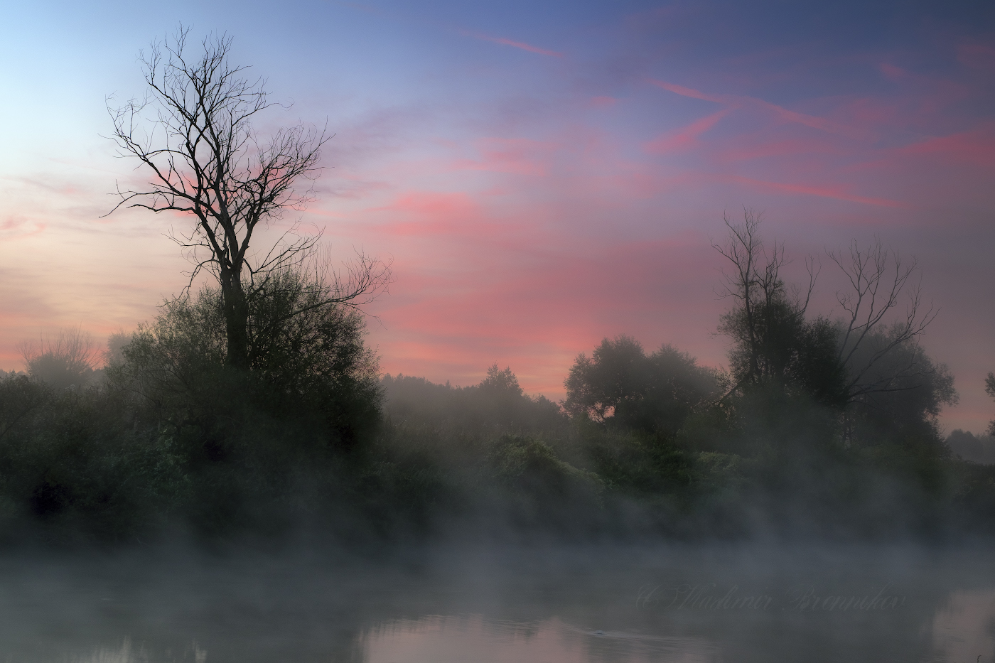 Мохнатый туман