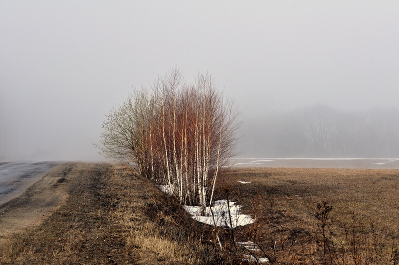 Мохнатый туман