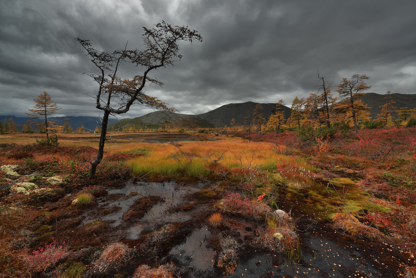 Магаданская осень...