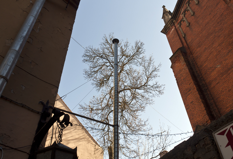 Дерево-труба