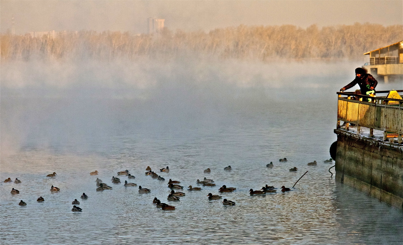 Мохнатый туман