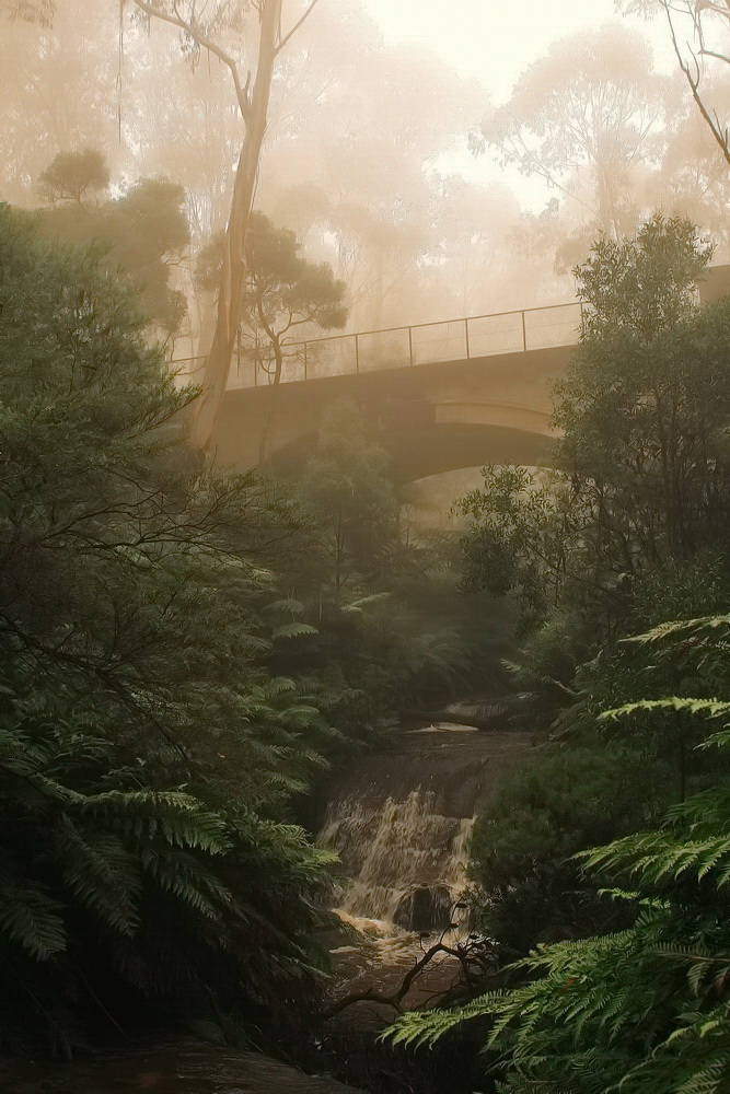 Мохнатый туман