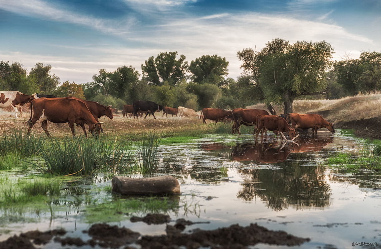 День подходит к концу