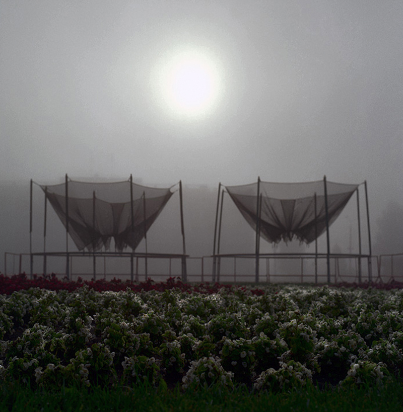 Мохнатый туман