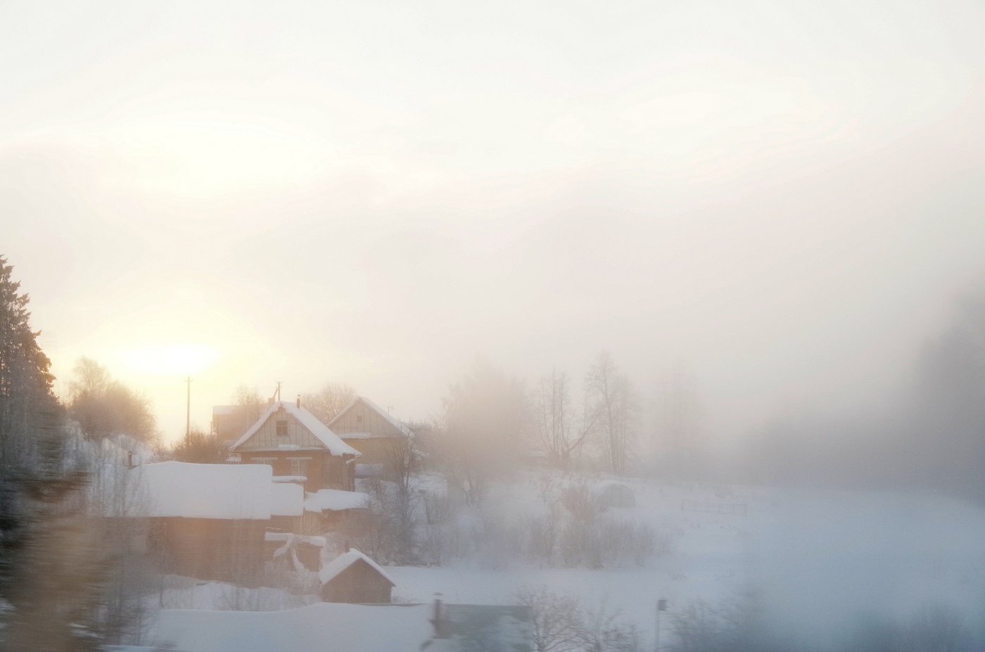 Мохнатый туман