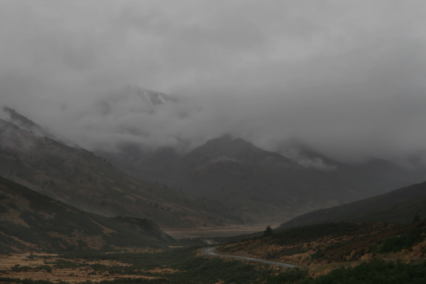 Мохнатый туман