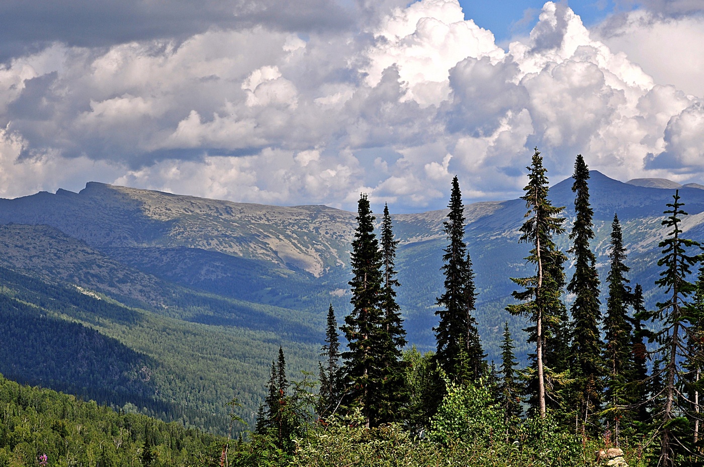 У поднебесья