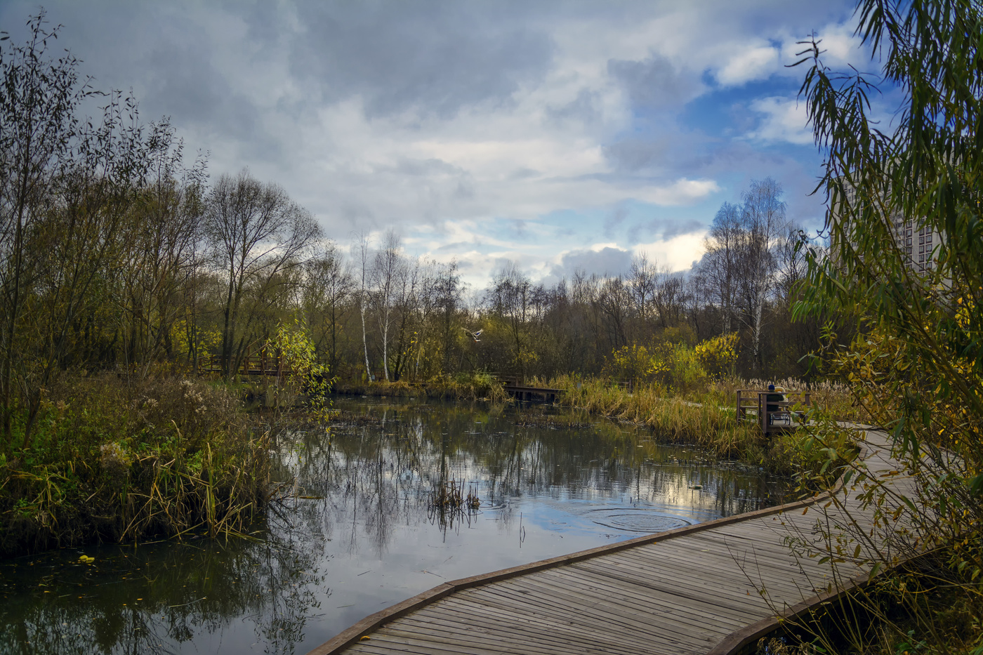Осенние зарисовки