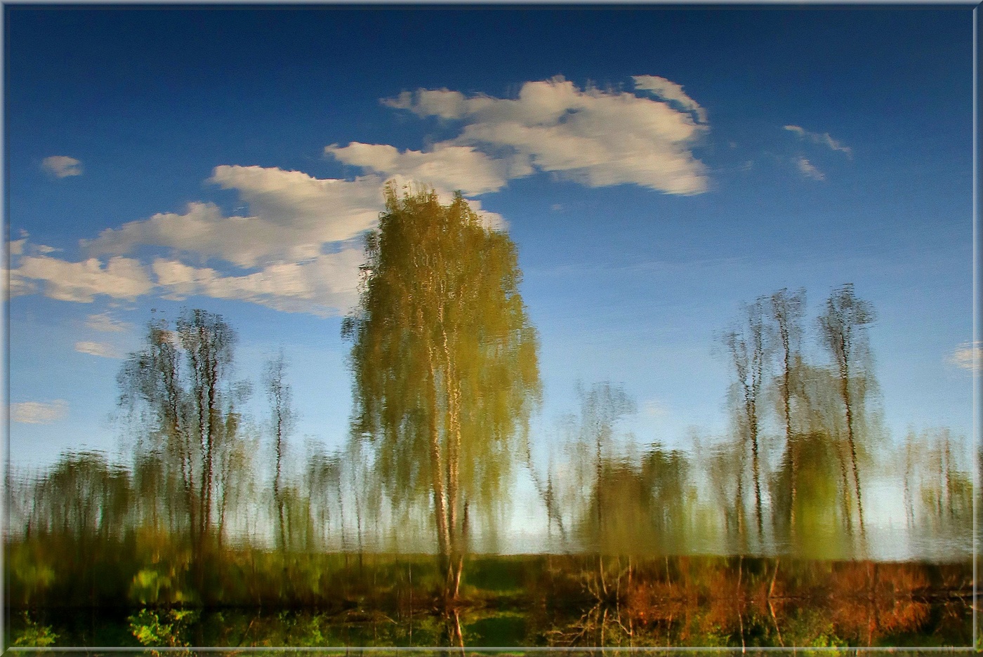 Облака плывут, облака