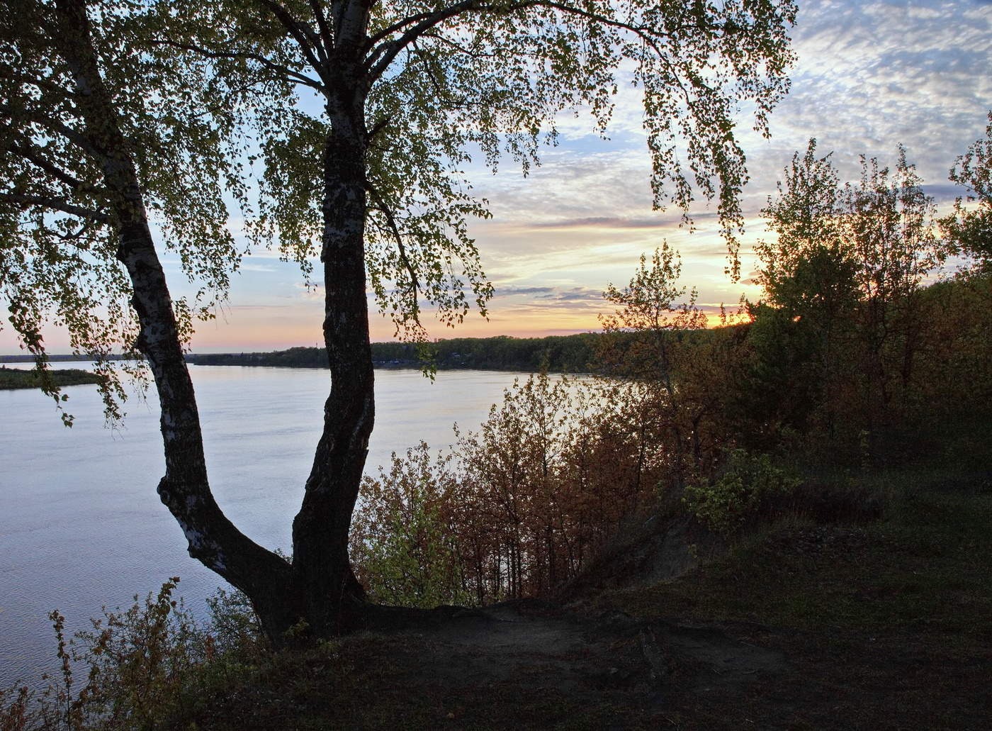 ВЕЧЕР НА ТОМИ.