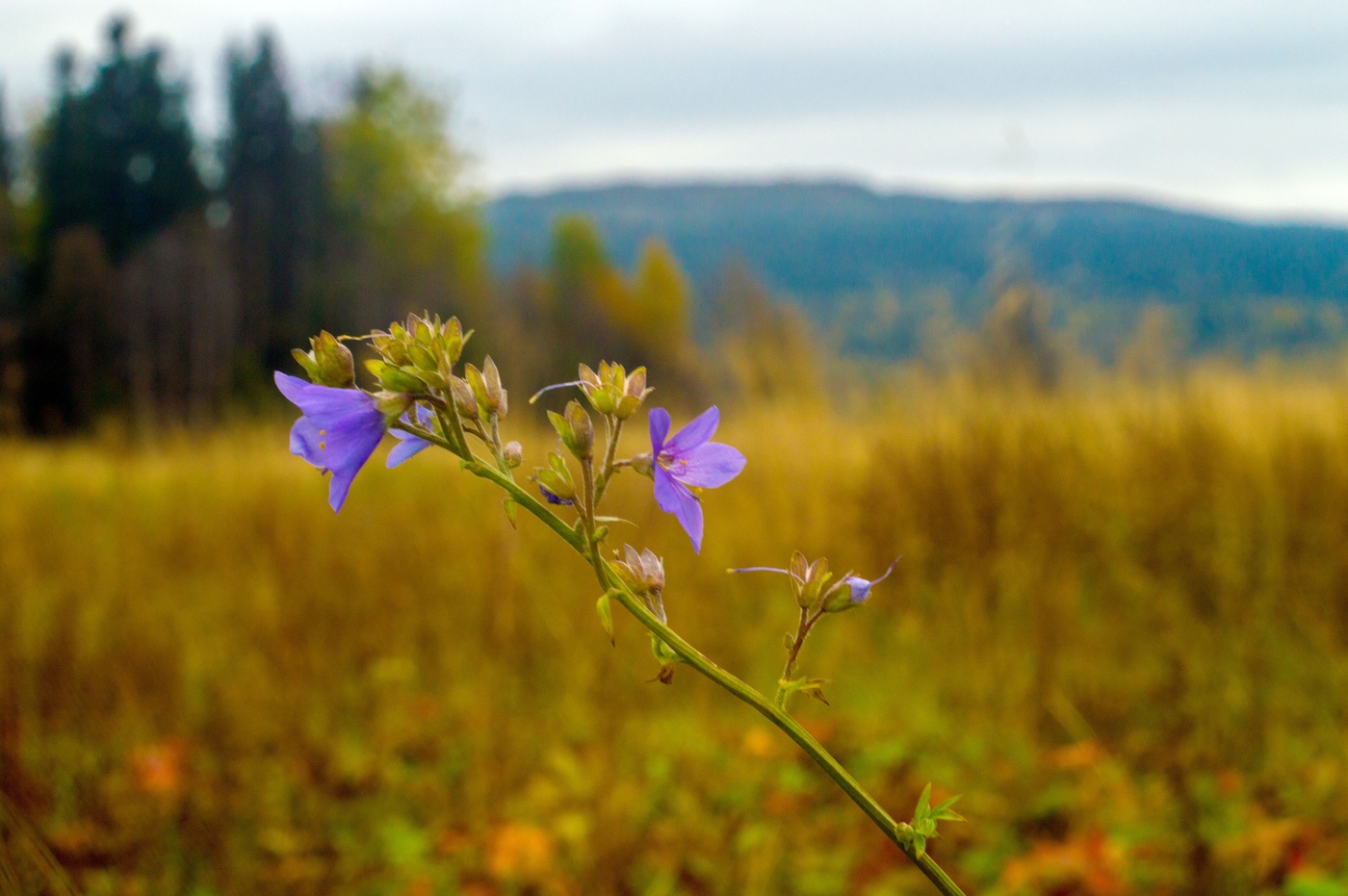 Вот и кончилось лето.