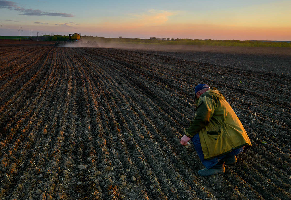 Посевная (2)