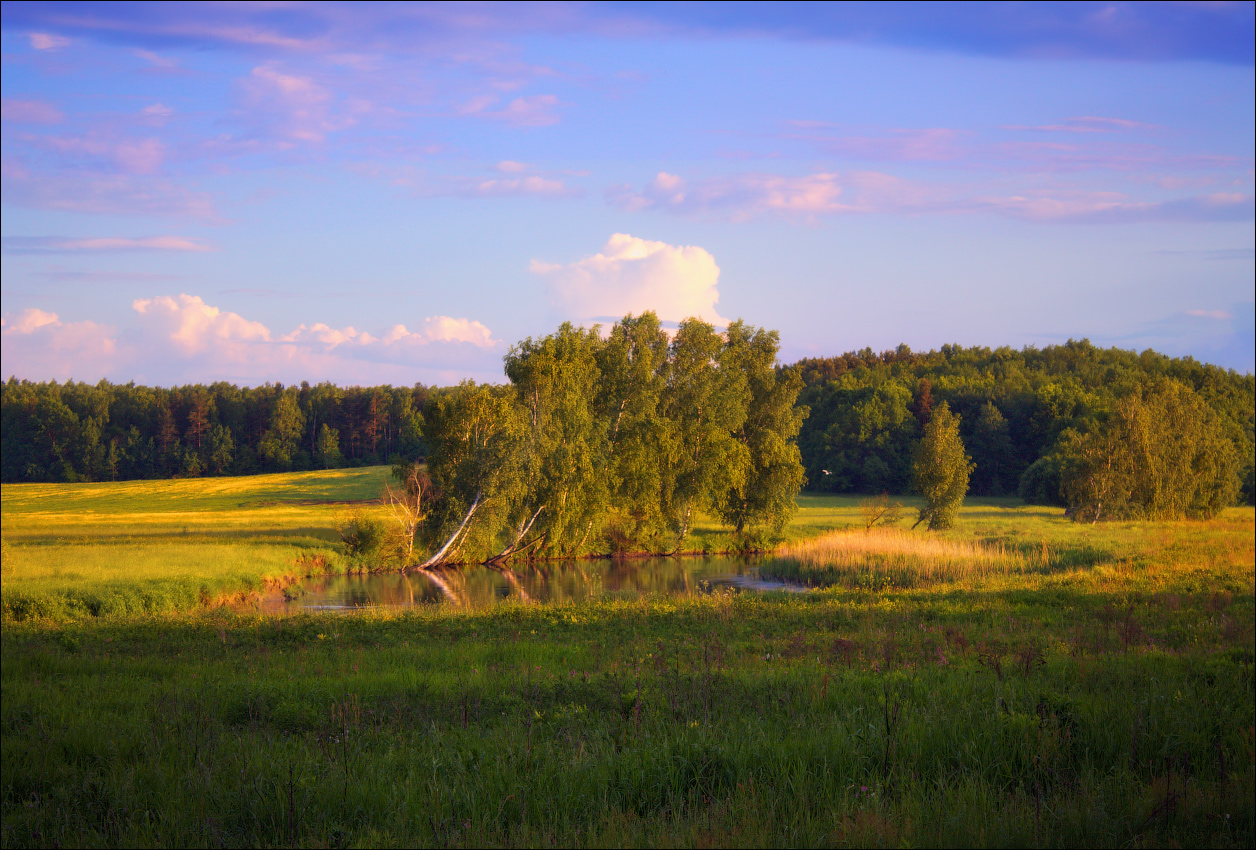 Майский вечер
